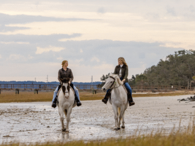 Camelot Farms Equestrian Center